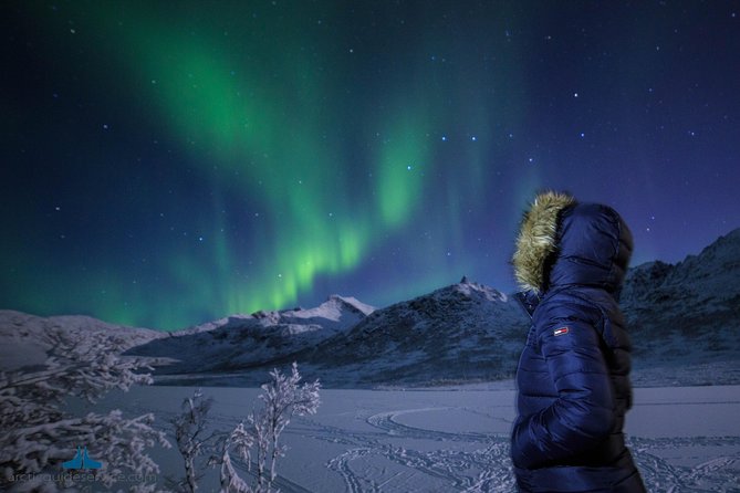 - Northern Lights Chase with Photo Package Included - What happens at the viewing stops