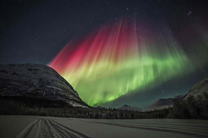 Northern Lights Chase with Photography from Tromsø - Key points to know before you book