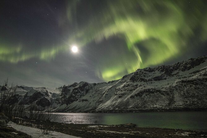 Northern Lights Chase with Photography from Tromsø - Waiting for the aurora in the cold