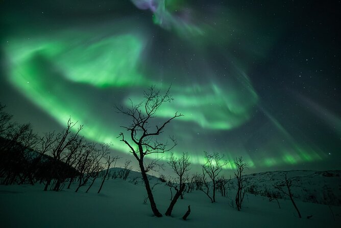 Northern Lights Expedition Tromsø - 6 people - Arctic Photo Guide - The route changes with the forecast
