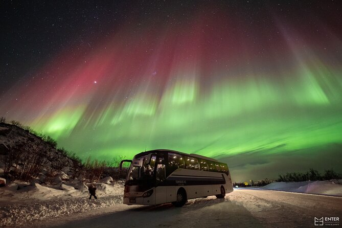 Northern Lights Guided Bus Tour with Free Photos - Leaving Tromsø at 6:00 pm
