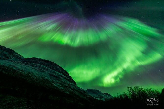 Northern Lights Guided Bus Tour with Free Photos - Organization is the make-or-break issue