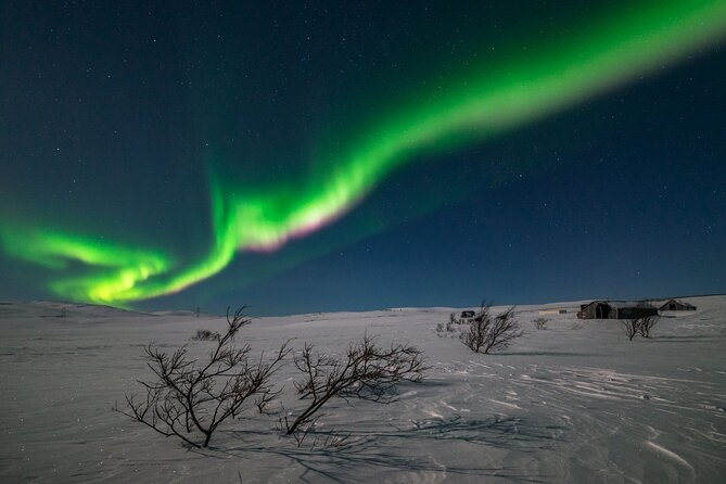 Northern Lights Hunt - Key points at a glance
