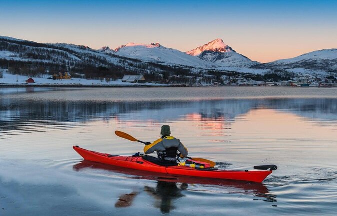 Northern Lights Hunt with The Green Adventure - photos included - Key points before you book