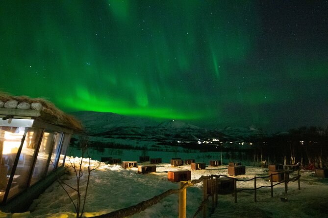 Northern Lights Husky Visit - Bacalao inside the Gamme hut