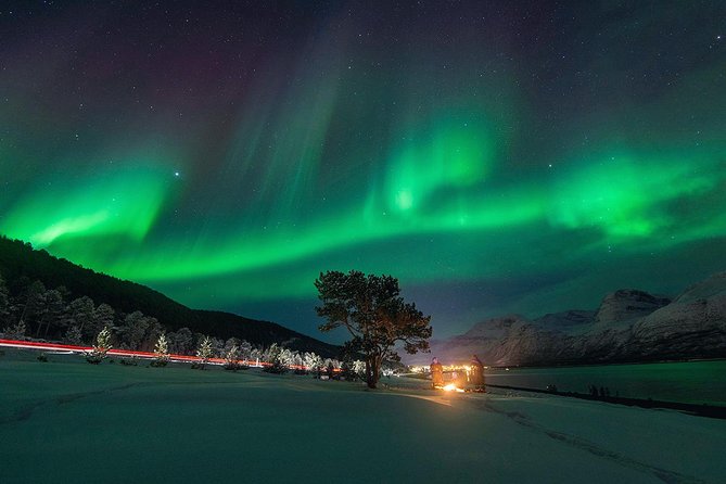 Northern Lights Minibus Chase from Tromsø with Chasing Lights - Meeting in central Tromsø