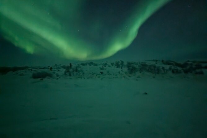 Northern Lights Minibus Chase Max 16 Person In Group - Why a moving aurora chase can work in Alta