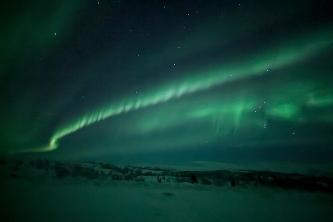 Northern Lights Minibus Chase Max 16 Person In Group - How much value do you get for $215.75?