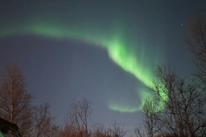Northern Lights Minibus Chase Max 16 Person In Group - Who will enjoy this tour most?