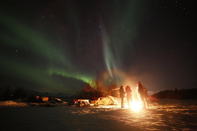 Northern lights photography tour - Snow suits, hot chocolate, and the reality of the cold