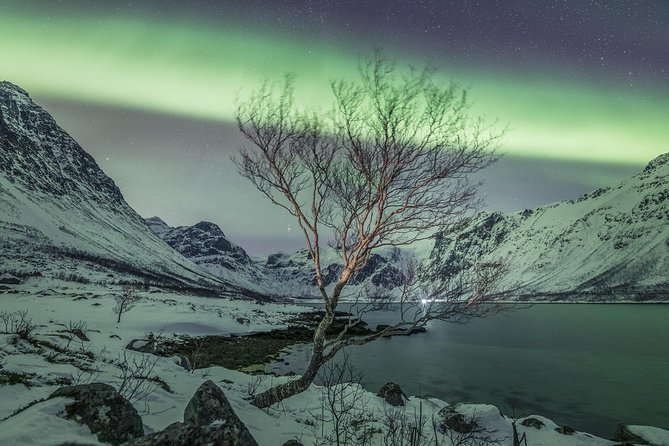Northern Lights Private tour with your special ones - Greenlander - What this Tromsø aurora tour is really about
