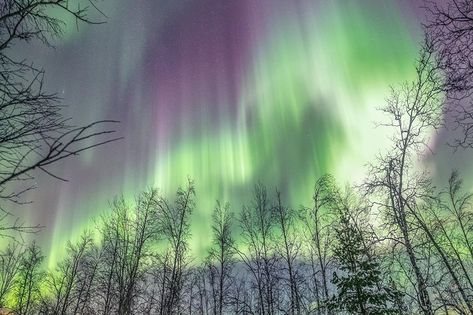 Northern Lights Private tour with your special ones - Greenlander - Dinner, snacks, and the campfire pause