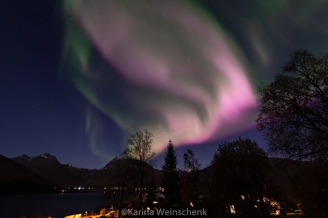 Northern Lights Safari from Tromso - Waiting under the northern sky