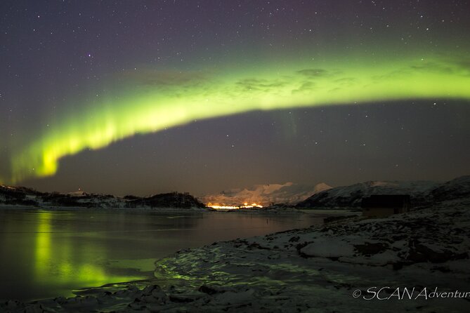 Northern Lights Safari from Tromso - What makes the guide important
