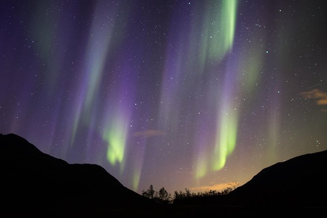 Northern Lights Safari from Tromso - Photos, tripod, and the value of a ready-made souvenir