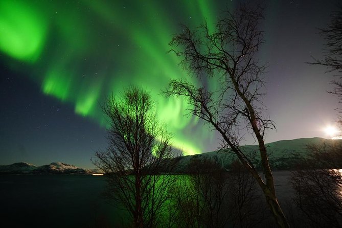 Northern lights - TeslaX Ecofriendly Car - Is $192.75 a fair price for three hours?