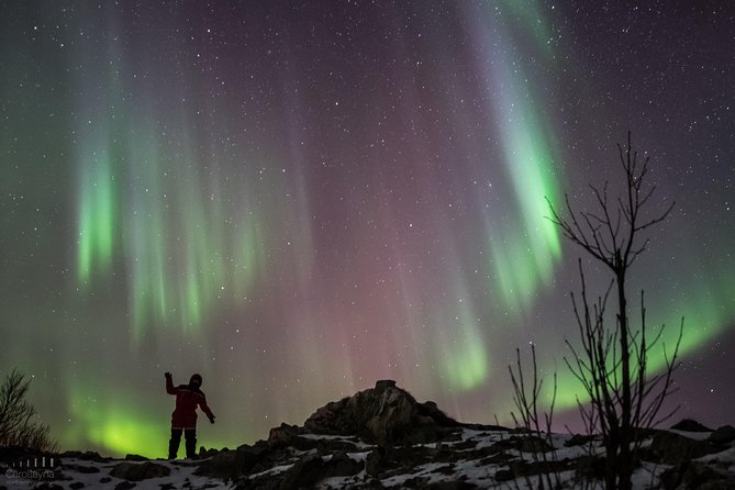 Northern Lights tour - All inclusive - Northern Horizon - Meeting at Magic Ice Bar in central Tromsø