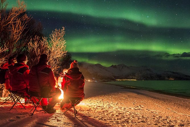 Northern Lights Tour from Tromsø - Thermal suits, boots, and the real meaning of Arctic cold