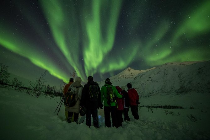 Northern Lights Tour from Tromsø - Photography: a useful extra, not just a souvenir