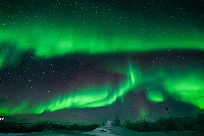 Northern Lights Tour, Photo, Toilet, Meal, Skycam in Mbus - Who should book this Tromsø aurora tour