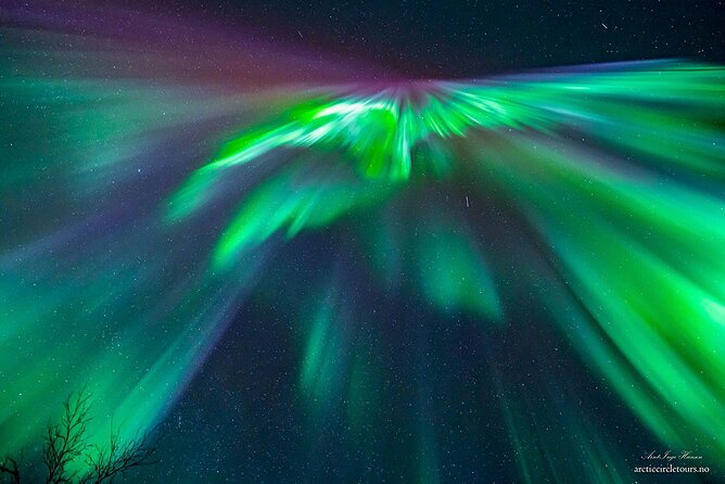 Northern Lights Tour, Photo, Toilet, Meal, Skycam in Mbus - A small minibus makes the chase more personal