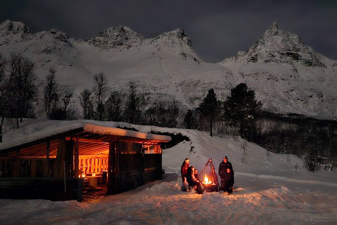 Northern Lights Tour, Tromso, Local Guide, Private Basecamp - Searching the sky with a local driver and guide