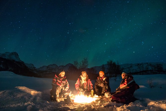 Northern Lights tour with Alta Adventure - Key points before you book
