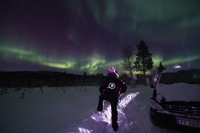 Northern Lights tour with Alta Adventure - What this Alta aurora tour is really about