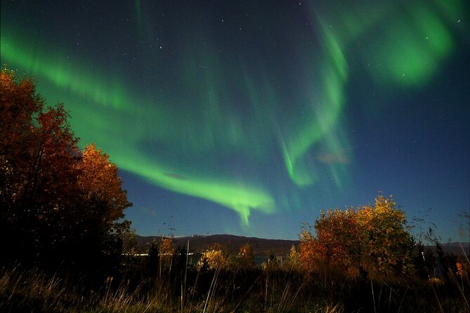 Northern Lights tour with Alta Adventure - Campfire, hot chocolate, and the evening’s changing plan