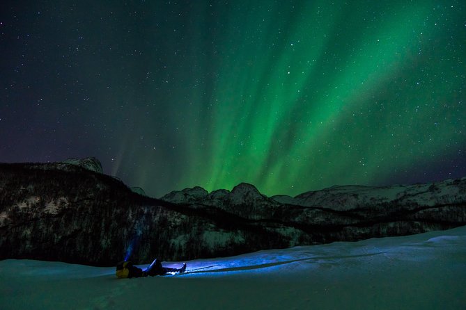 Northern Lights tour with Alta Adventure - Is $235.37 a fair price?