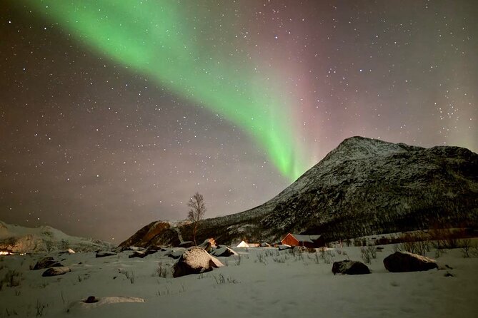 Northern Lights Tour with Hot Food and Drinks in Tromso - Leaving Tromsø at 6:20 p.m.