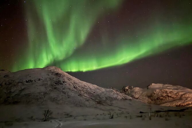 Northern Lights Tour with Hot Food and Drinks in Tromso - Photography, tripods, and capturing the lights