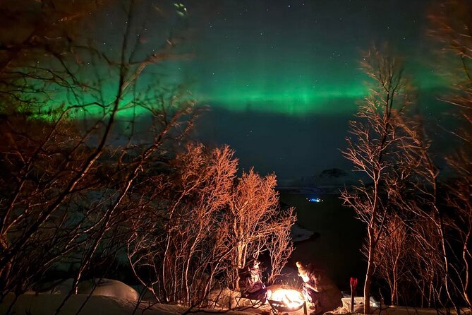 Northern Lights Tour with Hot Food and Drinks in Tromso - What the $269.24 price really buys