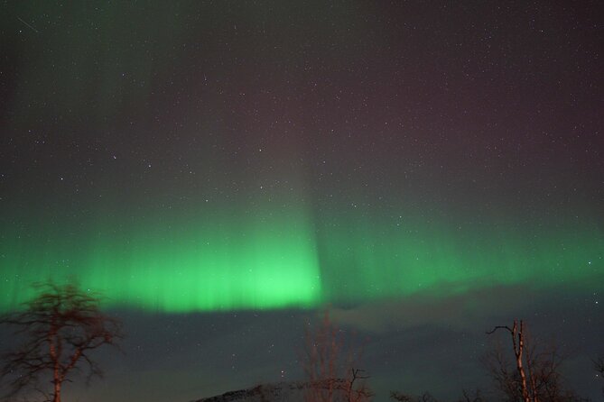 Northern Lights Tour with Local Guide and Photos - Thermal suits, boots, and what you must bring