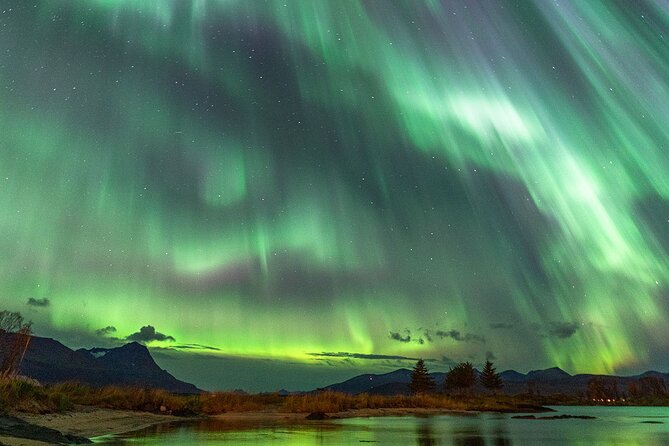 Northern Lights Tour with Local Guide and Photos - Is $198.50 good value?