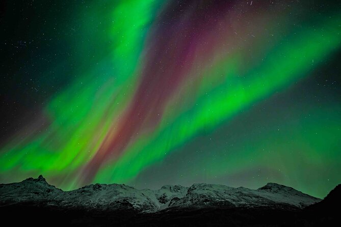 Northern Lights Tour with small group of 8 people - Key points before you book