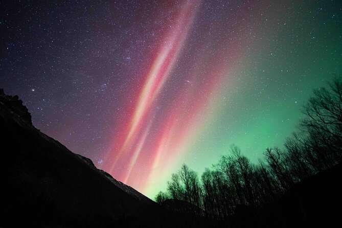 Northern Lights Tour with small group of 8 people - Why this Northern Lights tour uses the whole night