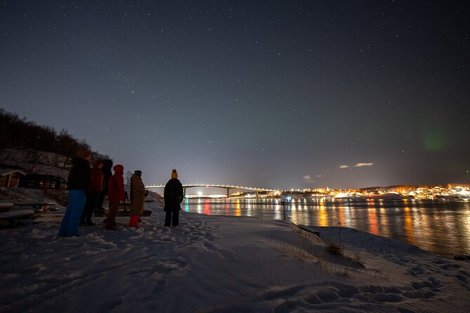 Northern Lights Tours Bodo Norway - Key points to know before booking