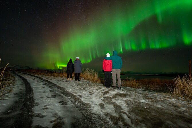 Northern Lights Tours Bodo Norway - Why Bodø is a useful base for aurora hunting
