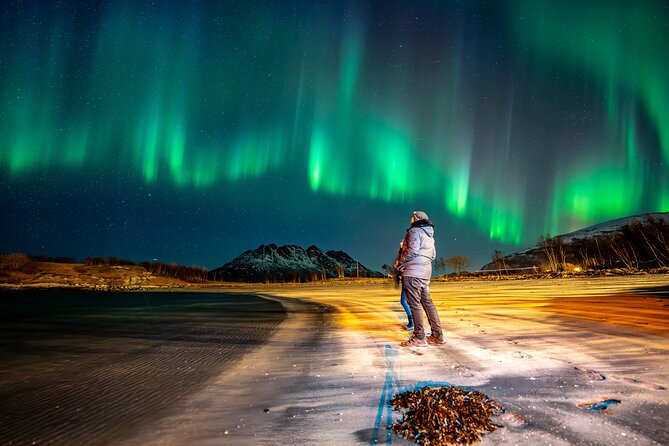 Northern Lights Tours Bodo Norway - How the aurora hunt works after dark