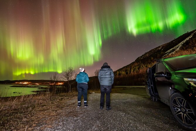 Northern Lights Tours Bodo Norway - What guide Ivar adds to the night