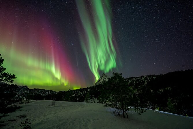 Northern Lights Tours Bodo Norway - The price of $223.73 per person
