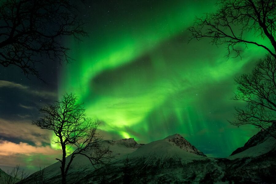 Northern lights Tromsø - small group tour with local guide - What $271 gets you