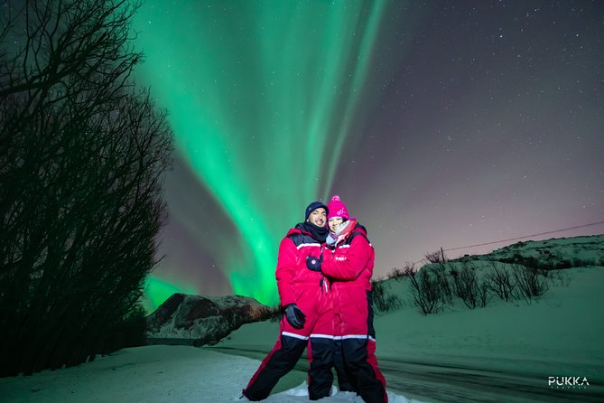 Northern Lights x Mini Bus Chase - Key points at a glance