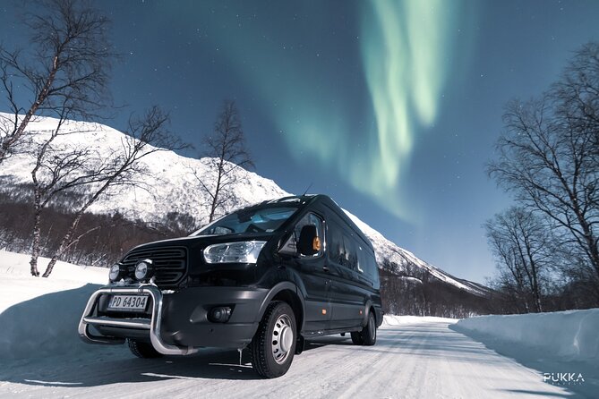 Northern Lights x Mini Bus Chase - Is $187.81 a fair price?