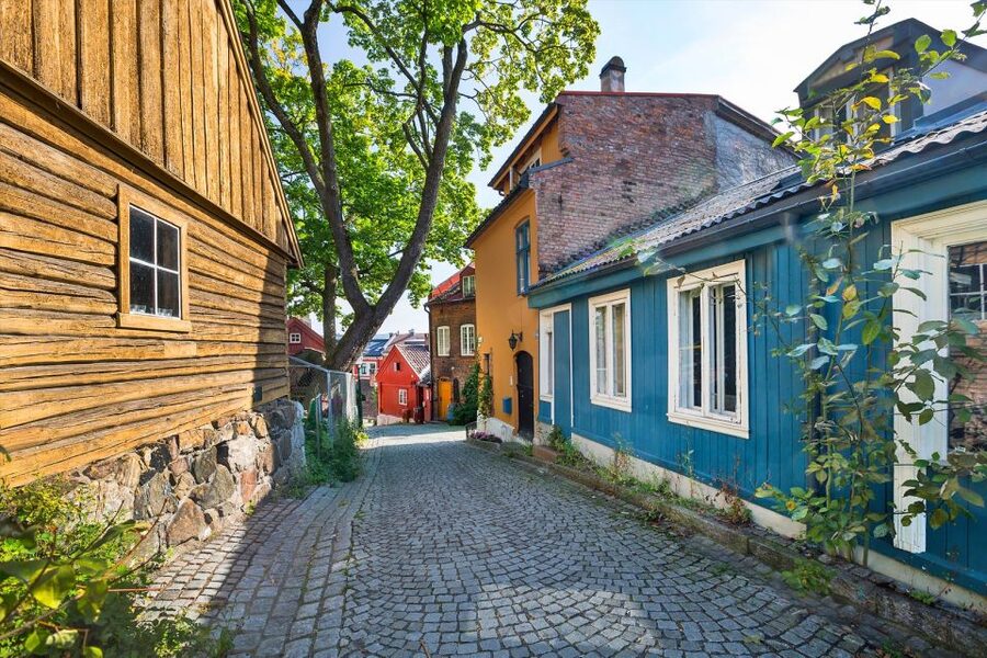 Norwegian Food Tour & Hidden Gems of Oslo - Key details that shape the experience