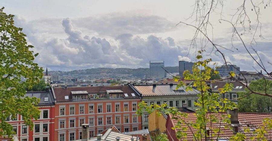 Norwegian Food Tour & Hidden Gems of Oslo - First tasting: creamy fish soup