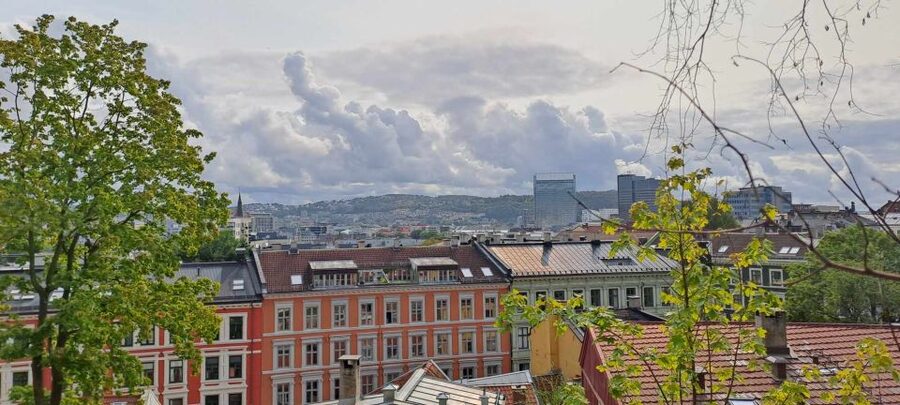 Norwegian Food Tour & Hidden Gems of Oslo - Starting at the tiger statue