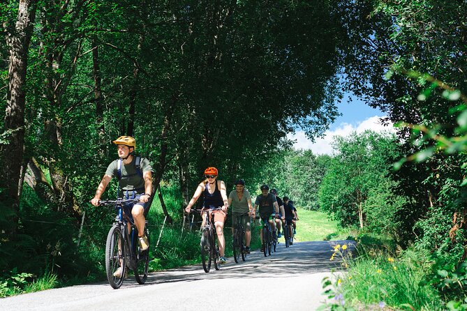 Olden: Fjord e-bike tour - Key points at a glance
