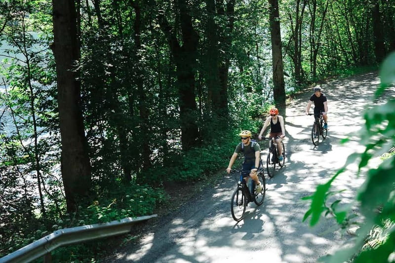 Olden: Guided e-bike tour - Starting Near the Cruise Dock